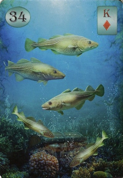 Lenormand Thelema